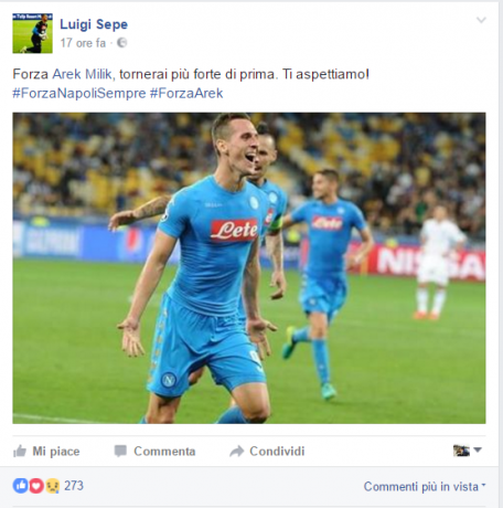 sepe-milik